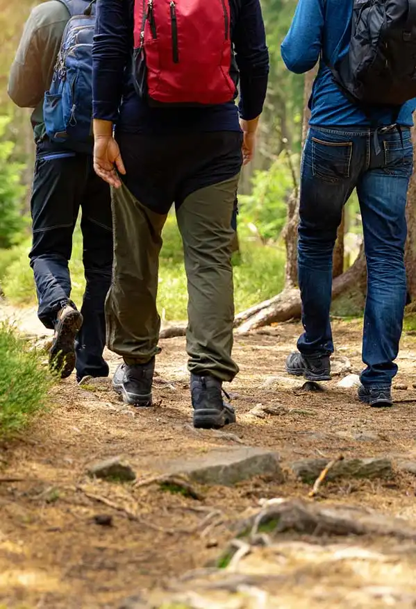 Hiking Trails