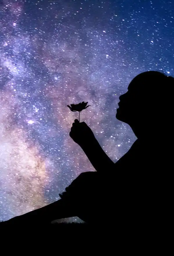 Star Watching