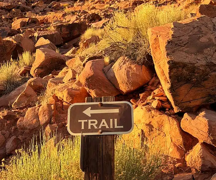Walking Trails